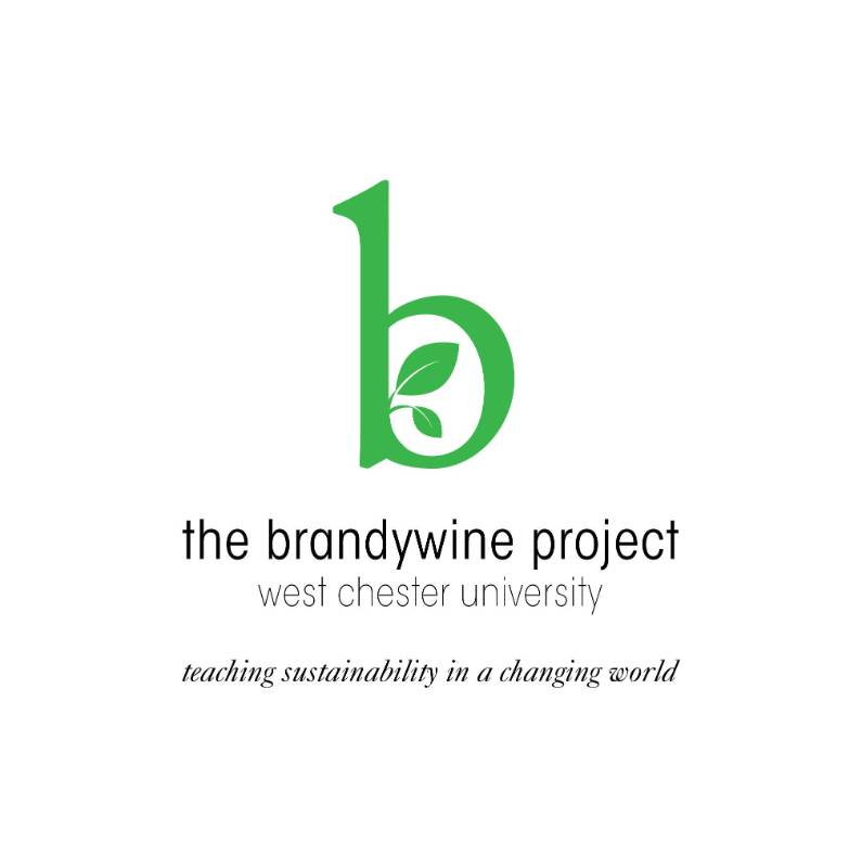 Brandywine Project logo, lowercase letter "b" with a green leaf in the center.