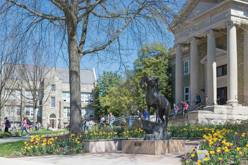 Ram Statue in front of the library with students walking around campus in the background