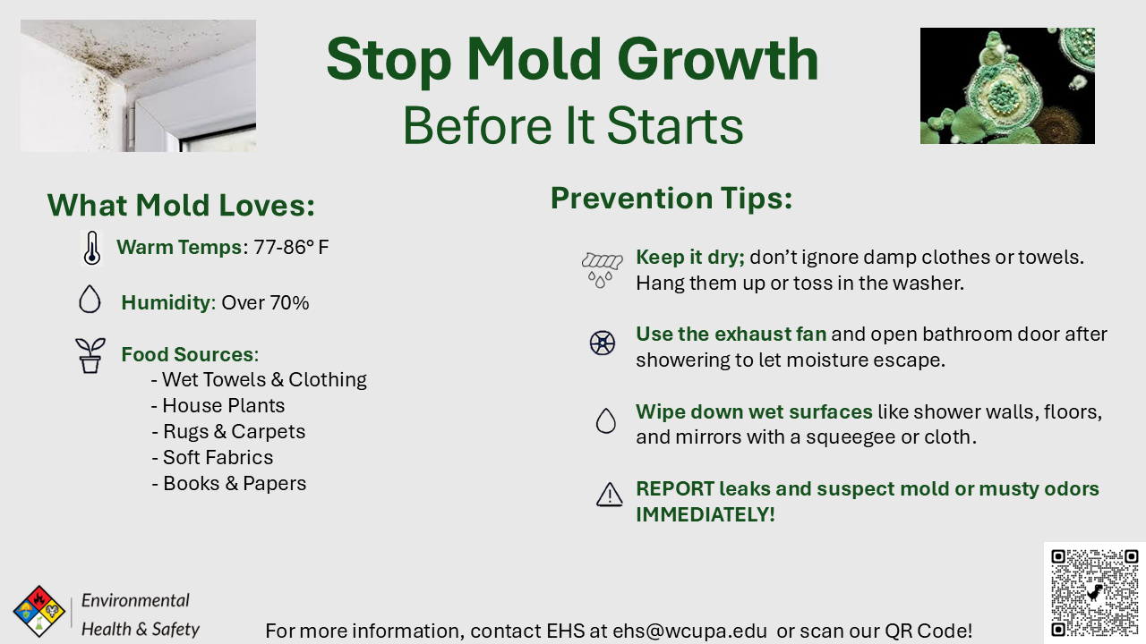 Stop Mold Growth