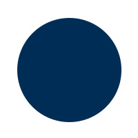 dark blue dot icon