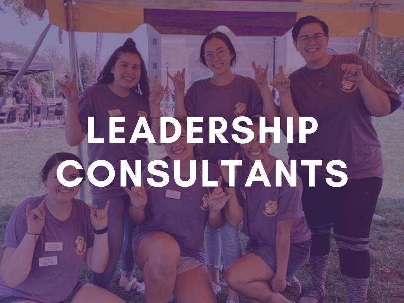 Leadership Consultants