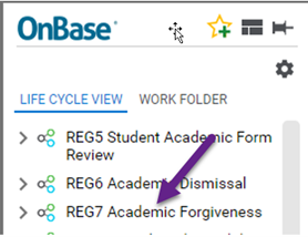 Chair Review of Academic Forgiveness Forms 3