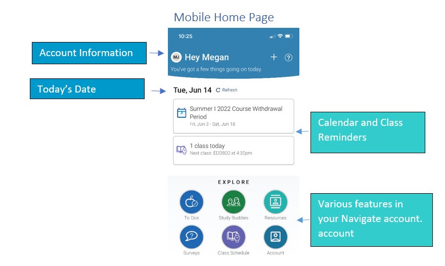 Image of Home Page View for Mobile in Navigate