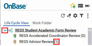 reg5 advisor review