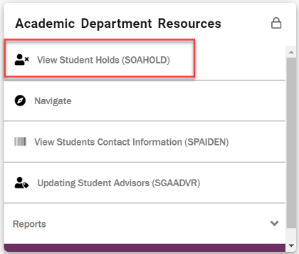Screenshot of View Student Holds link