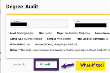 Click on the What-If Tab to start a new audit.