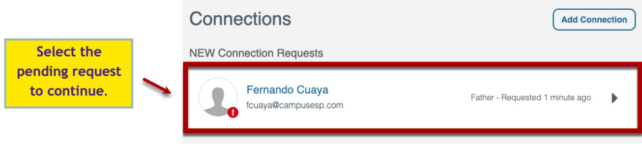 Connections Page showing a new pending request.
