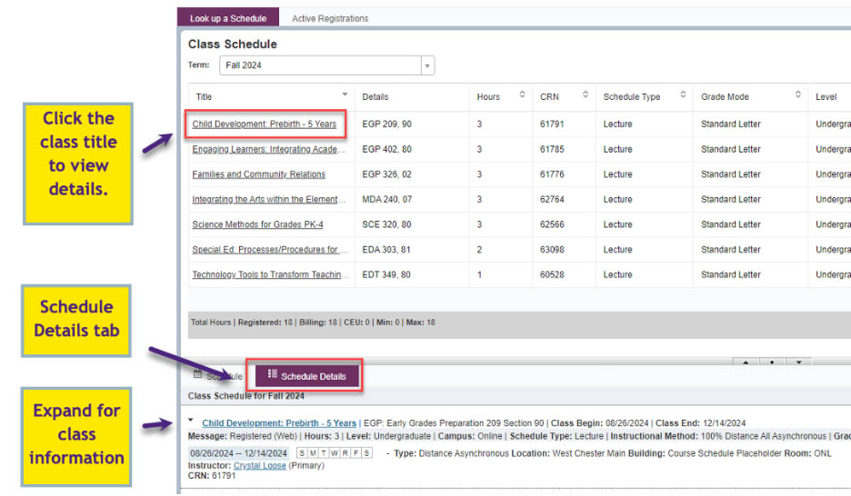 Asynchronous classes displayed in the List View and in the Schedule Details tab.