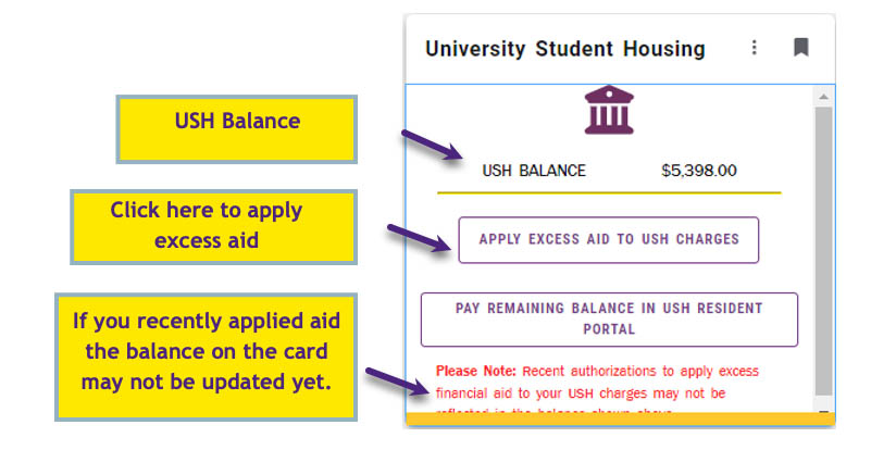 Fig 2: Example of USH Card showing Balance, Apply Excess Aid button, and Note about balance.