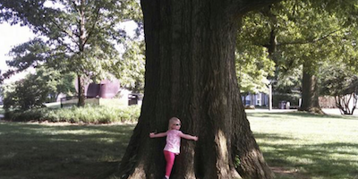 Child hugging tree