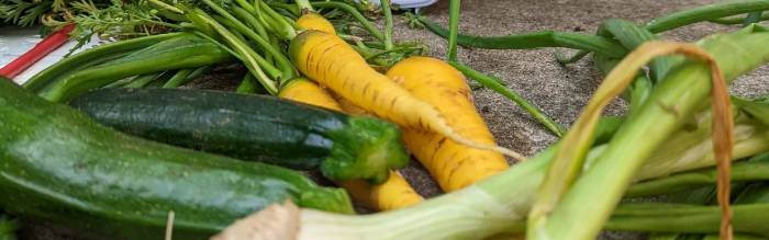 vegetables from north campus