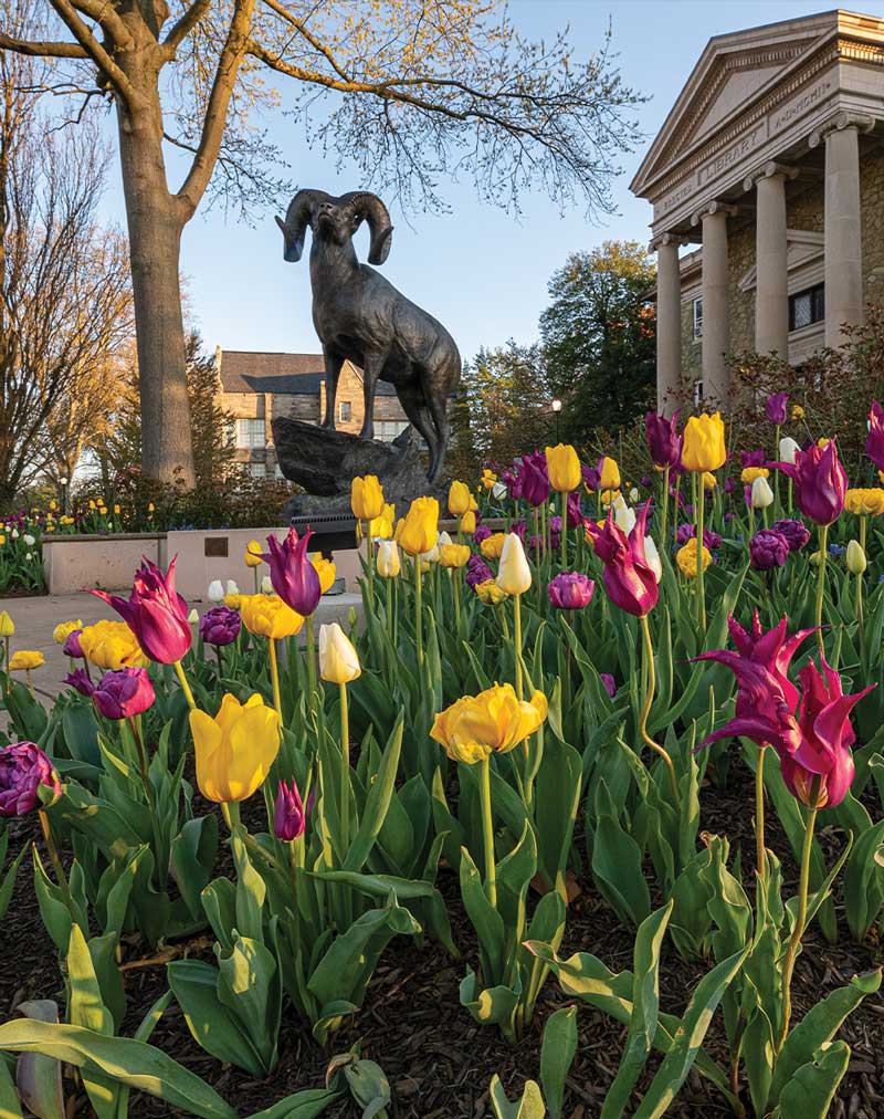 WCU Magazine Spring 2025