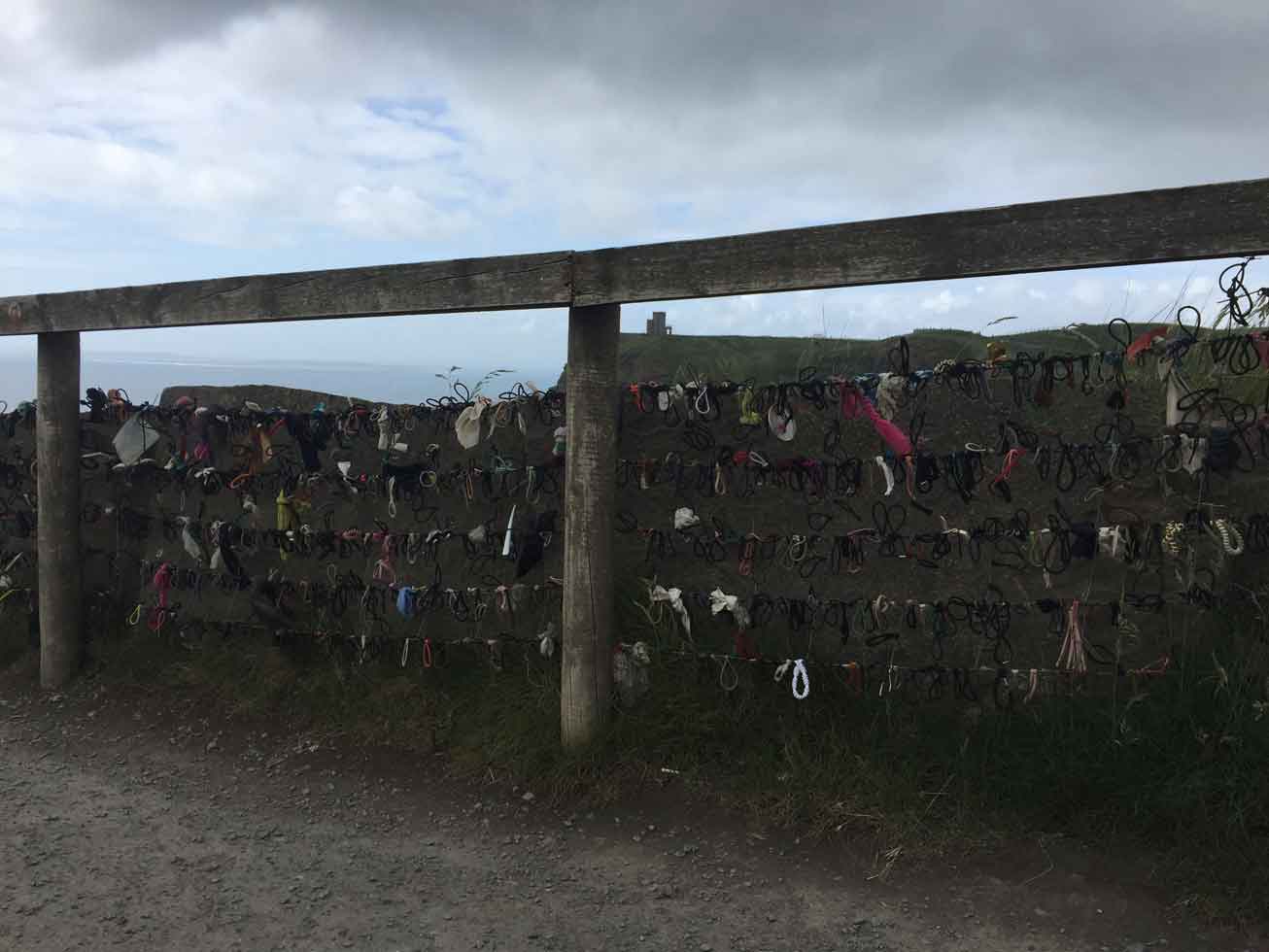 Fence with locks on it