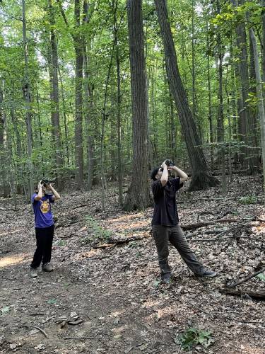 GNA Interns Jessica Greulich and Kinsey Cuoco participating in BLD monitoring