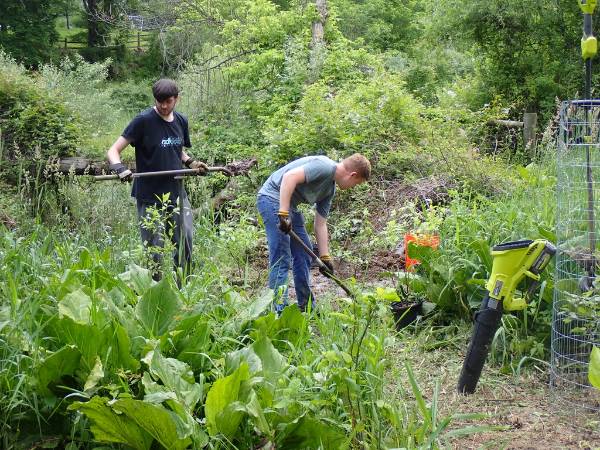 GNA Interns Luke Knaub and Jack Ridenour planting Buttonbush