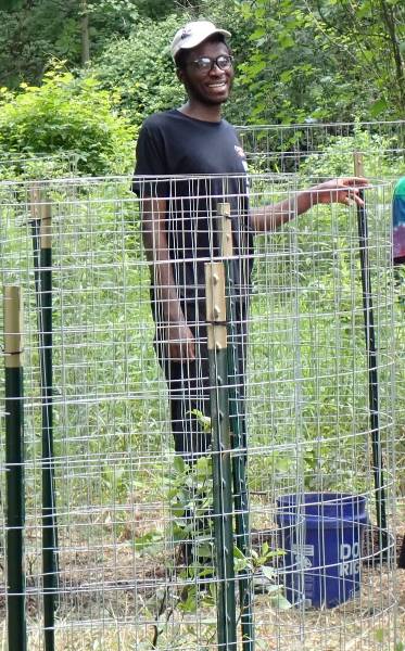 GNA Student Intern Ahmed Adeyekun planting Speckled Alders as part of the Alder Swamp restoration work.