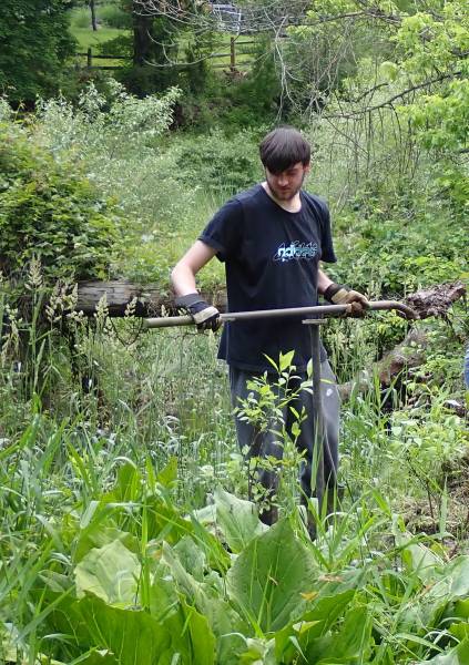 GNA Student Intern Luke Knaub planting Buttonbush in the Alder Swamp area.