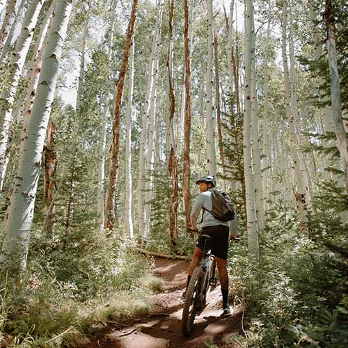 Biker in forest