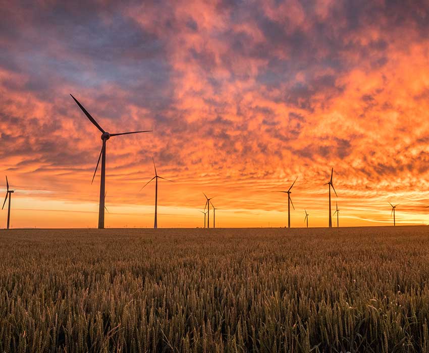 WIndmills at dusk