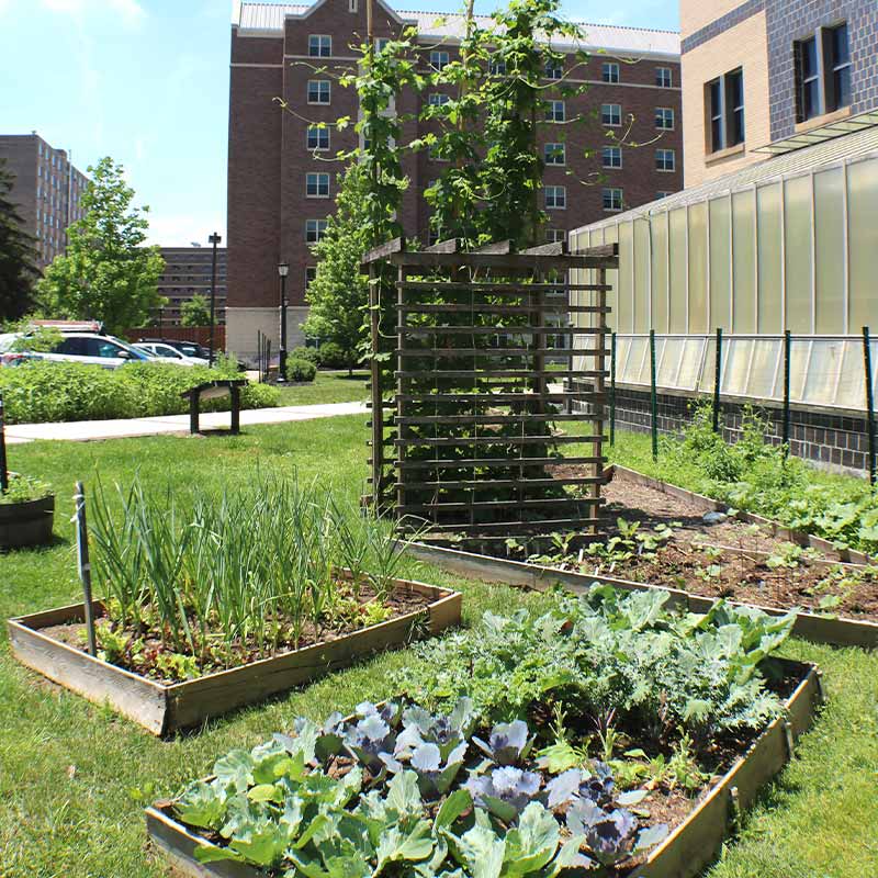 Environmental Health course plan