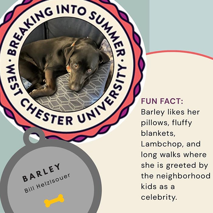 WCU Employee's Dog - Barley