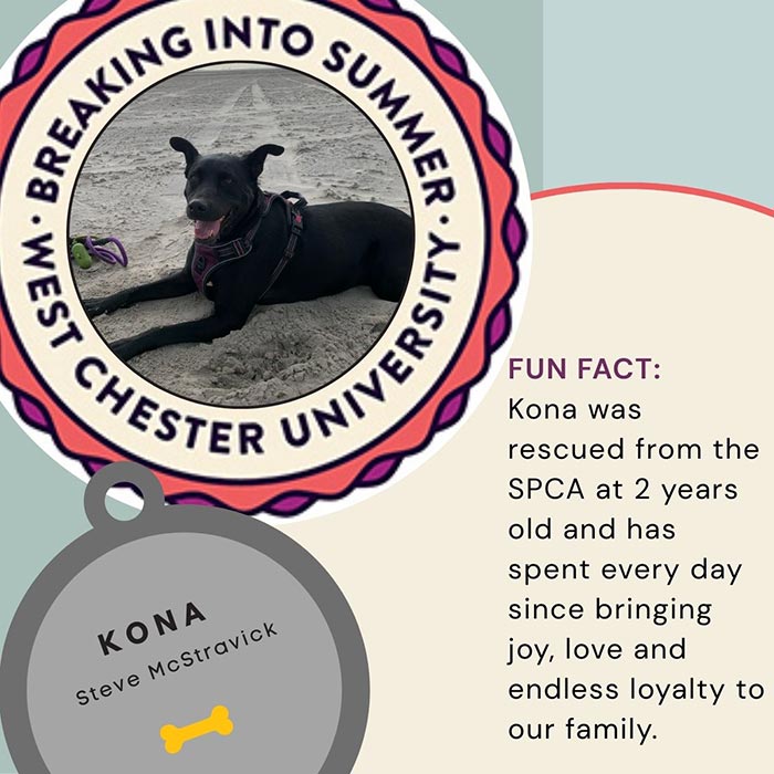 WCU Employee's Dog - Kona