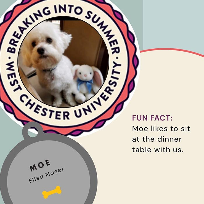 WCU Employee's Dog - Moe