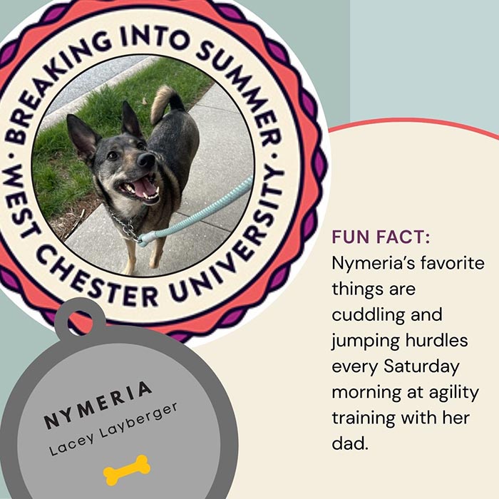 WCU Employee's Dog - Nymeria