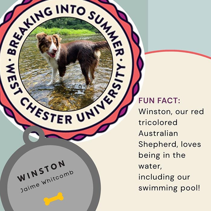 WCU Employee's Dog - Winston