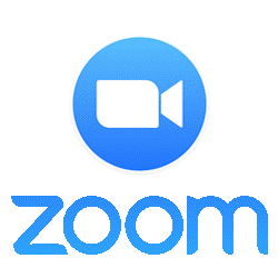 ZoomLogo