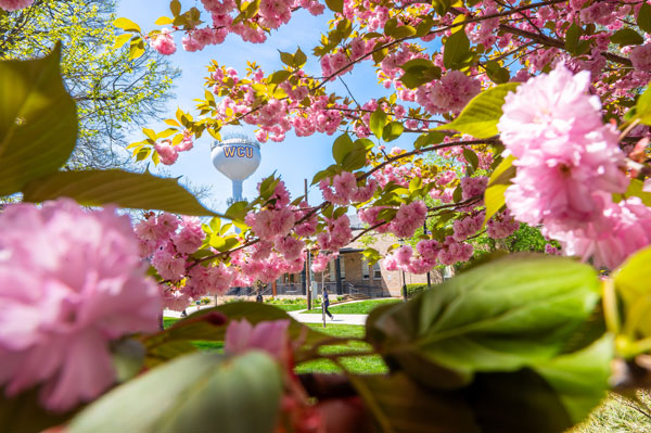 Spring Campus Shot of WCU Water tower surrounded by flowers