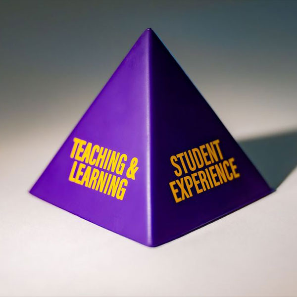 Pyramid image showing 2 sides saying Student Experience and Teaching and Learning