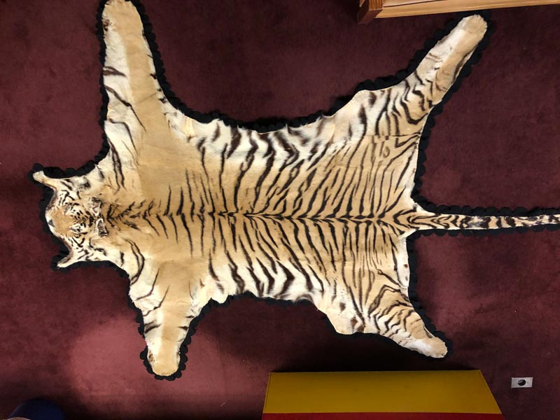 Tiger Rug