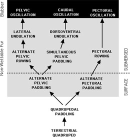 Transition Mode Chart