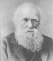 Darwin