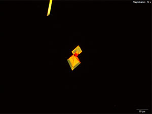 reagent 11 thumbnail