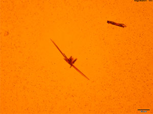 reagent 10 thumbnail