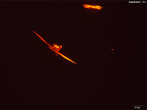 reagent 12 thumbnail