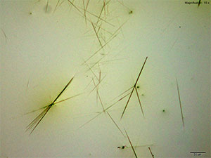 reagent 13 thumbnail