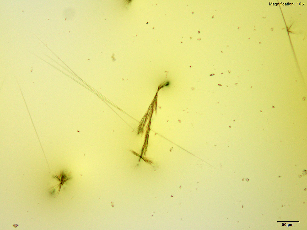 reagent 14 thumbnail