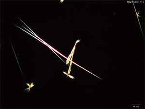 reagent 17 thumbnail