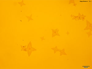 reagent thumbnail 10