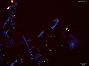 reagent thumbnail 14