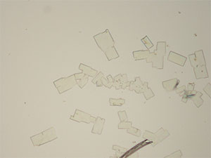 reagent thumbnail 13