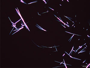 reagent 11 thumbnail