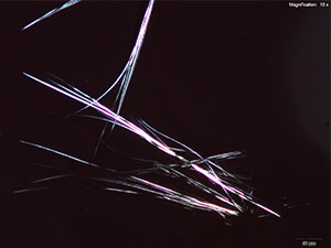 reagent 12 thumbnail