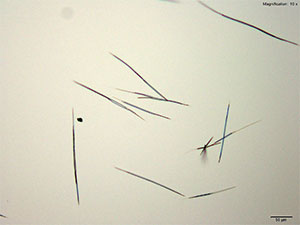 reagent 15 thumbnail