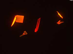 reagent thumbnail 10