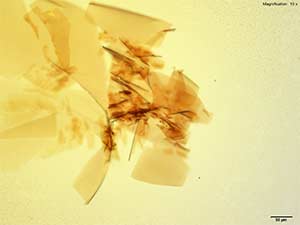 reagent thumbnail 11