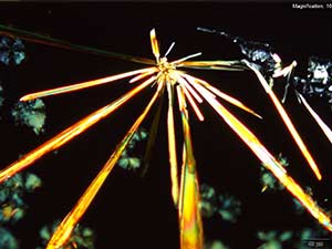 reagent thumbnail 14